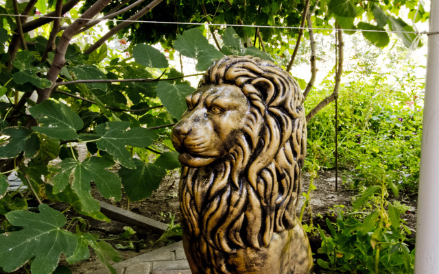Otdykh U Alexandra Guest House