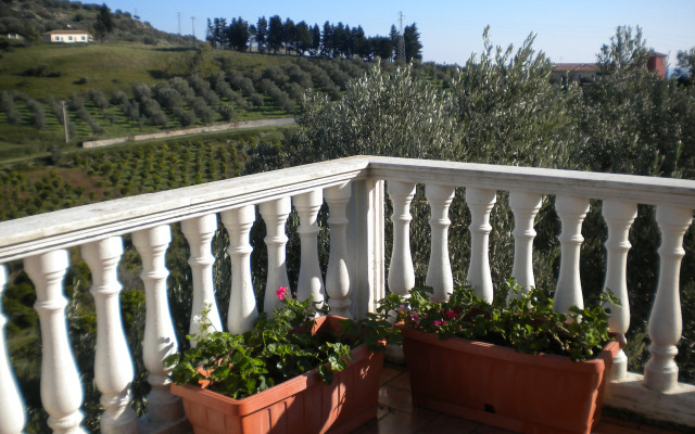 Tenuta Castellesi