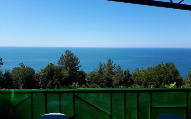 Bagryipsta Mini Hotel