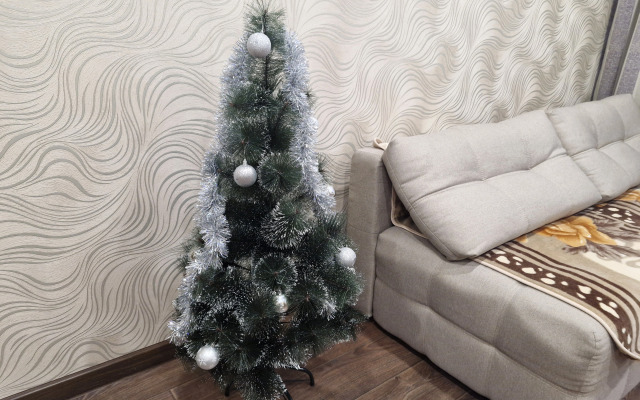 Квартира Ленина 54