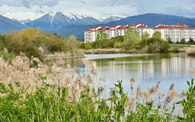 Sapfir S Basseynom I Vidom Na Les Flat