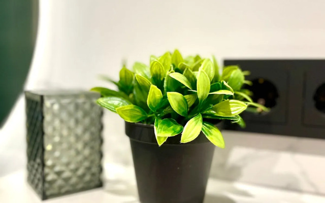 Квартира просторная в Пионерском