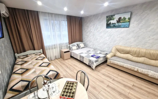 Апартаменты 01 МоМи Дубровка