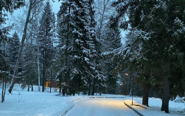 Парк-отель Ruza Forest