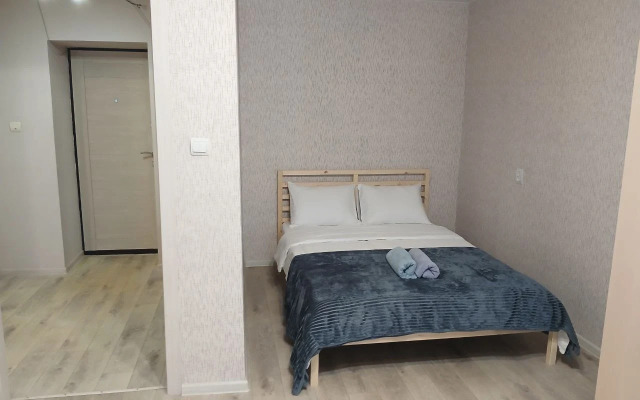 Квартира Уютная у ДК ПЗ