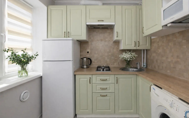 Апартаменты у Музея Искусств