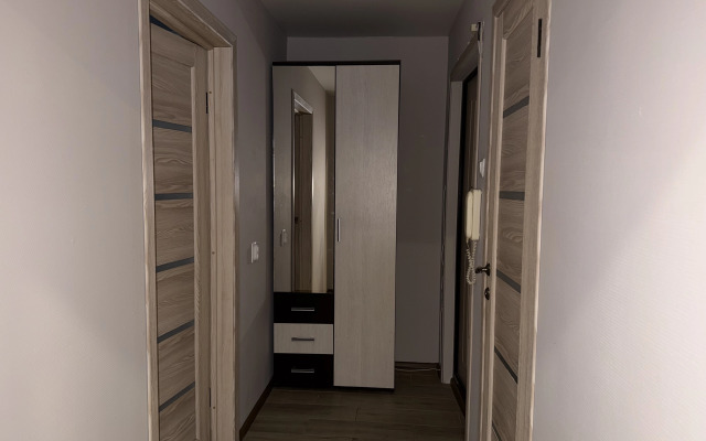 Апартаменты Уютные  двухкомнатные на площади Горького