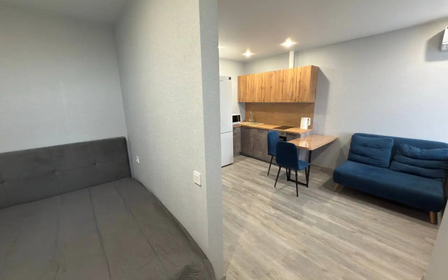 Studiya so vsemi udobstvami Flat
