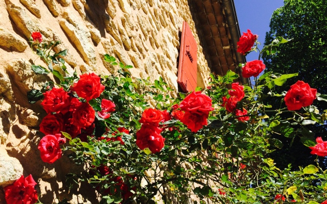 Mas De Cocagne En Provence Guest House