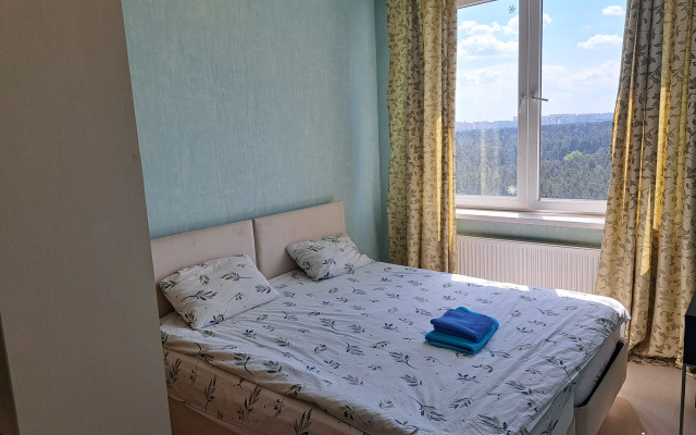 S Vidom Na Odincovo Apartments