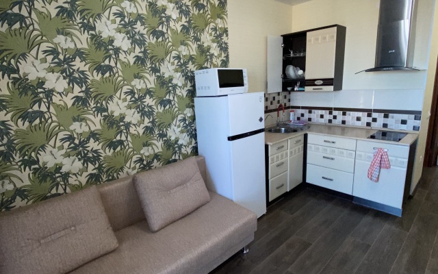 Квартира Уютная студия Дружба 4/2