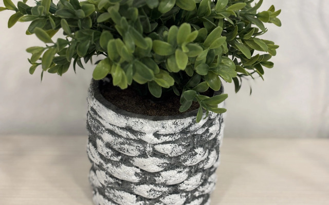 Квартира Вдохновение центра