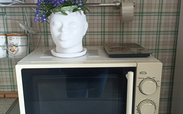 Апартаменты Zvezdnaya