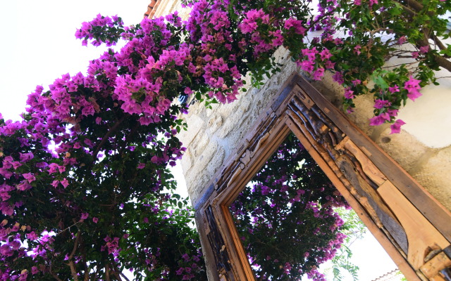 Yukari Sokak VIP Butik Otel