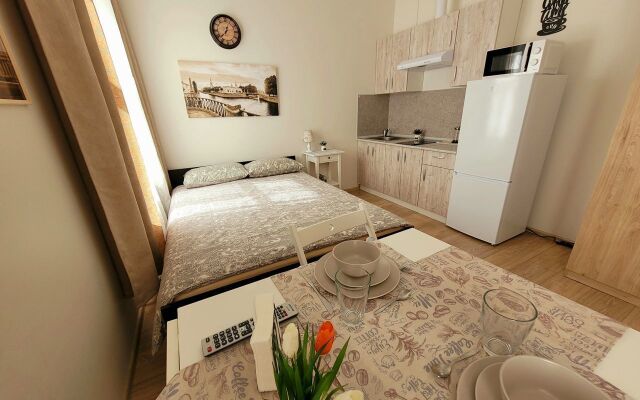 Квартира - студия в иcтoричeскoм цeнтре Санкт-Пeтеpбургa (2)