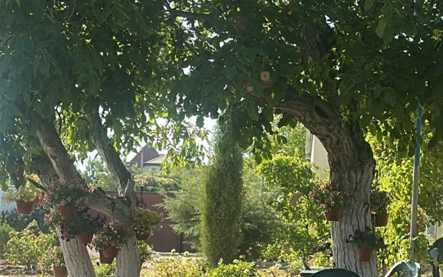 Гостевой дом Морская сказка