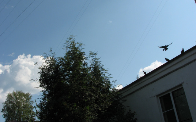 Хостел Облако