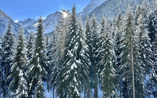 Квартира ArtHouse Dombay 12