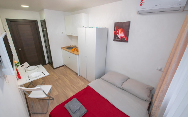 Kvartira-studiya 3 na Balyaeva Flat