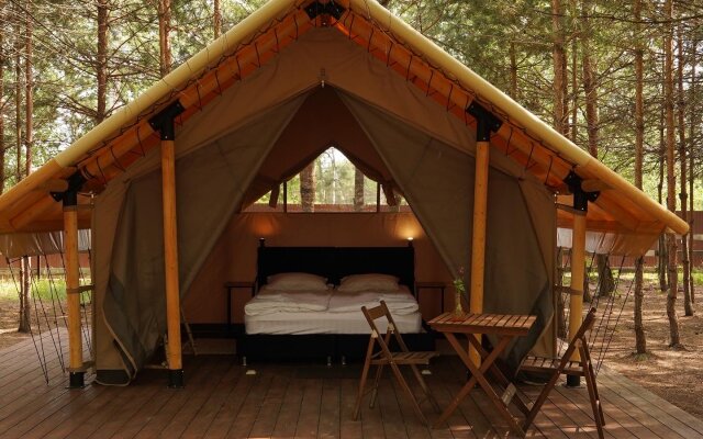 Molodost Glamping