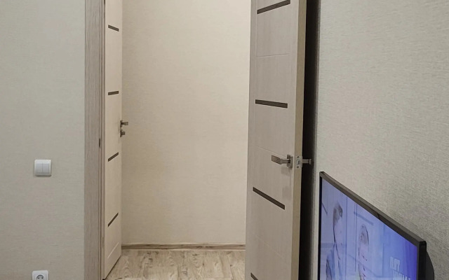 V Tsentre Ribnaya Derevnya U Kanta Apartments