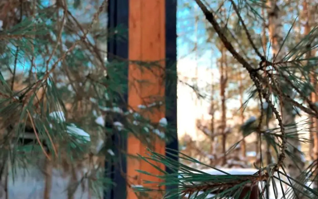 TinyDacha Mozhzhevelnik Glamping