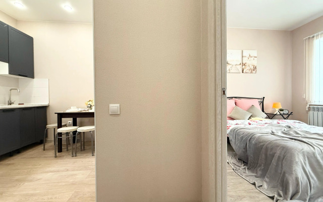 Апартаменты Студия на Воронина