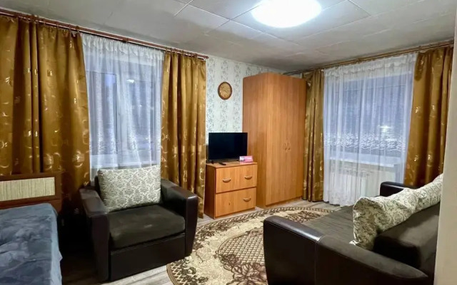 Квартира 1 комнатная в Центре