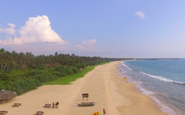 Jungle Beach Camp Ahungalla Hotel