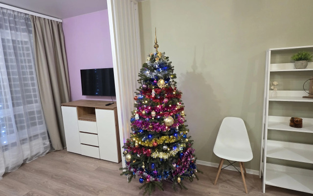 Квартира Красивая студия