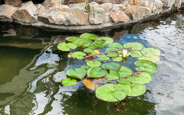 База отдыха Valen Park