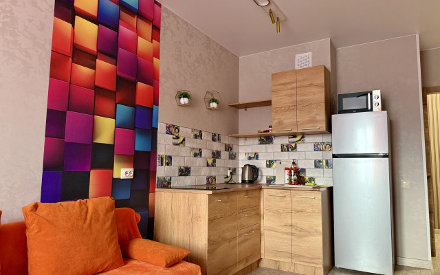 Dvukhkomnatnaya studiya v novom dome Flat