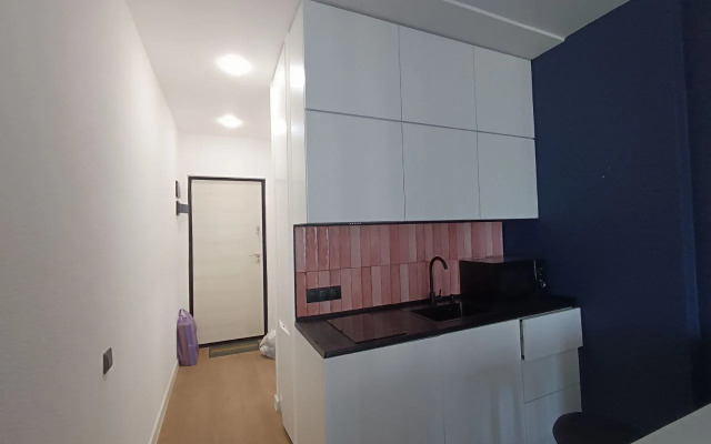 Uyutnaya Studiya dlya Dvoikh Apartments