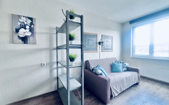 Апартаменты VEGAS на Левобережной  3