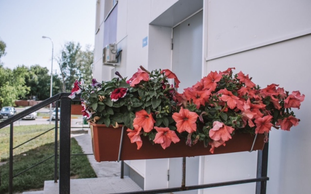 Vozle Kazan Molla Flat