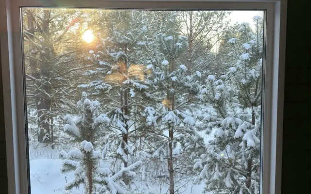 Частный дом в лесу