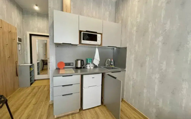 Апартаменты В Гости! на Запорожской 69 (студия 7)