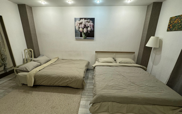 Апартаменты Метро Спортивная