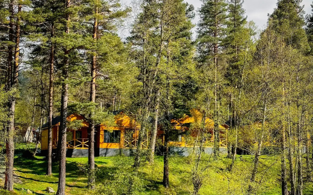 Шале Хвоя трехкомнатное с видом на реку