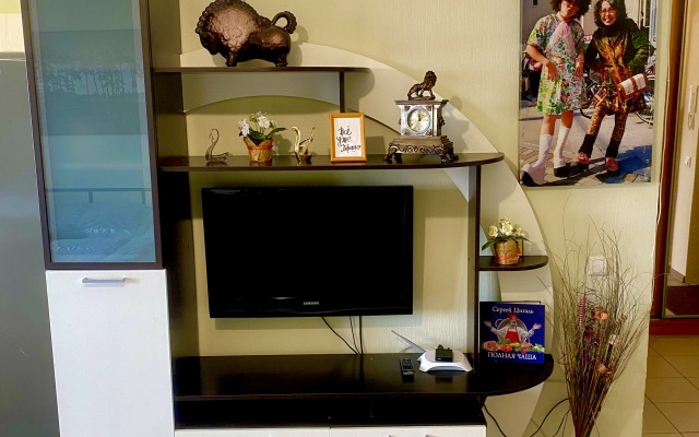 Апартаменты Белые Ночи 1-Комнатная Студия на Озеровых