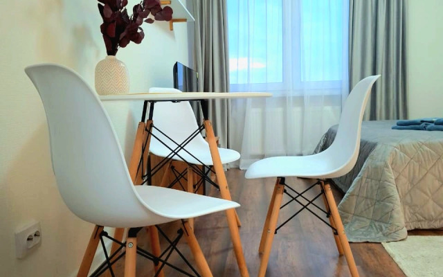 Uyutnaya studiya Flat