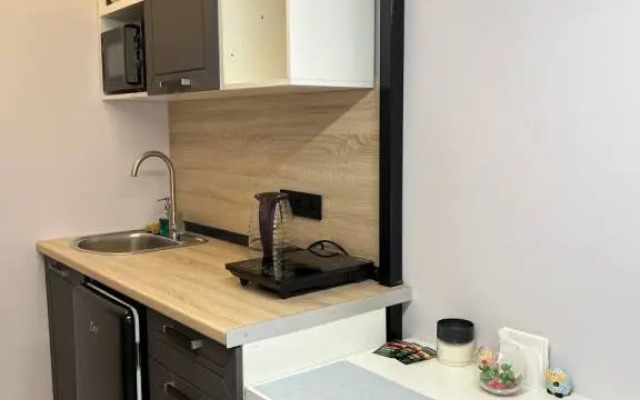 Апартаменты 5 на Чкаловском проспекте