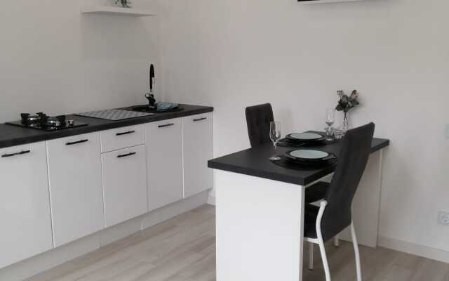 Апартаменты на Толстого 4