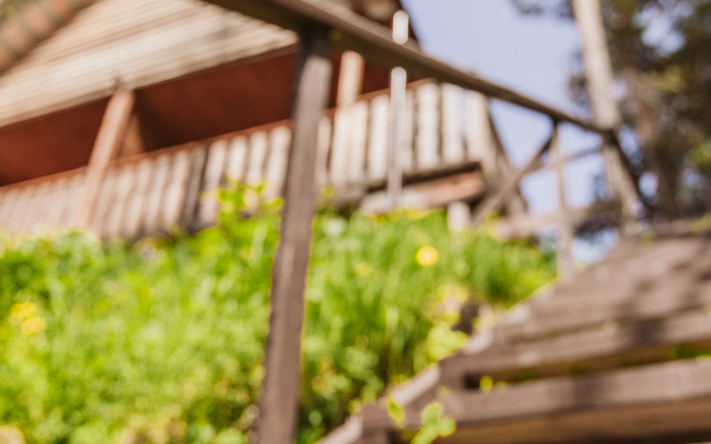 Гостевой дом АЛТАЙ БЕРЕГ ИП Рожнова Л.В.