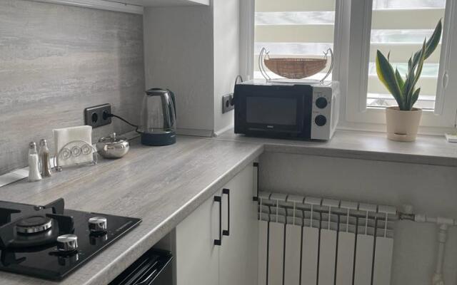 Uyutnaya Eko Studiya V Tsentre Pyatigorska Apartments