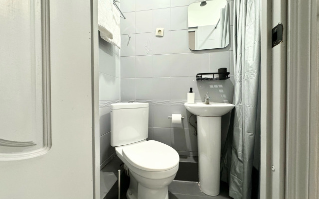 Апартаменты студии Sivakapart 2 в центре на Пушкинской