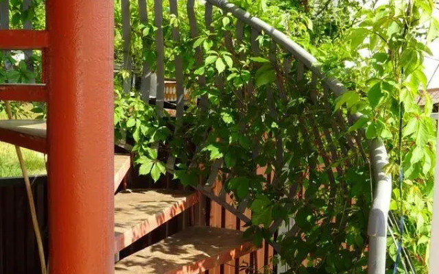 Dautiya Guest House