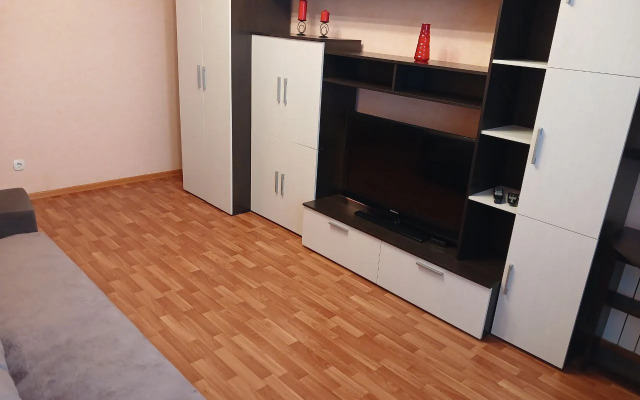 Aday Aparts V Tsentre Kurska Apartment