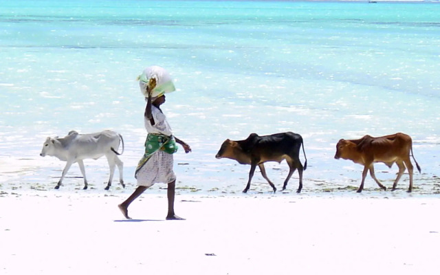 Bahati Zanzibar Villa