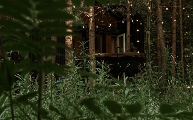 Глэмпинг Сосны